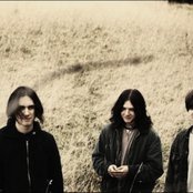 The Wytches - List pictures