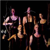 Sleepytime Gorilla Museum - List pictures