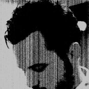 The New Amsterdams - List pictures