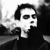 Peter Murphy - List pictures