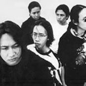 Protonema - List pictures