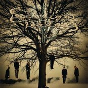 Dissolving Of Prodigy - List pictures