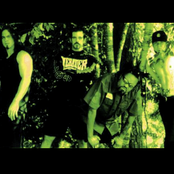 Stuck Mojo - List pictures