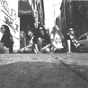 Cynic - List pictures