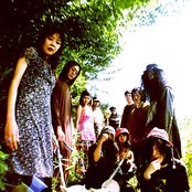 Acid Mothers Temple - List pictures