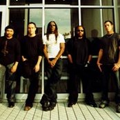 Dave Matthews Band - List pictures