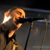 Broilers - List pictures