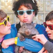 Wombats - List pictures