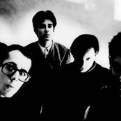 The Monochrome Set - List pictures