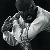 Plies - List pictures