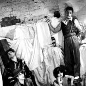 The Woodentops - List pictures