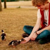 Hibou - List pictures