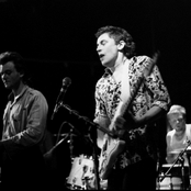 Able Tasmans - List pictures