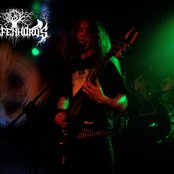 Wolfenhords - List pictures