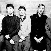 A Certain Ratio - List pictures