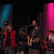 Bamboo - List pictures