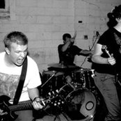 Orchid - List pictures