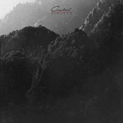 Cardinal - List pictures