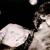 Lindsey Buckingham - List pictures