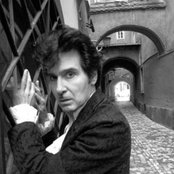 Tav Falco's Panther Burns - List pictures