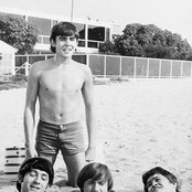 Monkeys - List pictures