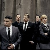 Broilers - List pictures