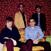 Spoon - List pictures