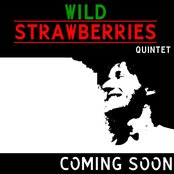 Wild Strawberries - List pictures