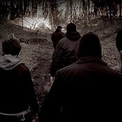 The Banner - List pictures