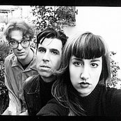 The Muffs - List pictures