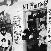 The Bees - List pictures