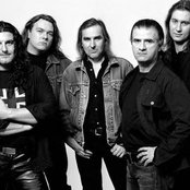 Krokus - List pictures