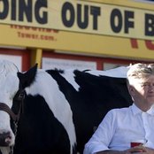 David Lynch - List pictures