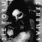 Die Form - List pictures