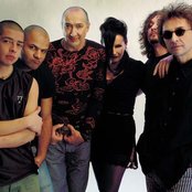 Maanam - List pictures