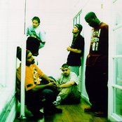 Arsonists - List pictures