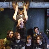 An Albatross - List pictures