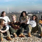 Soldiers Of Jah Army - List pictures