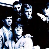 The Sonics - List pictures