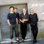 Noir Desir - List pictures