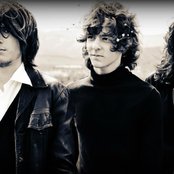 The Seems - List pictures