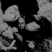 Onyx - List pictures