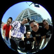 Slick Shoes - List pictures