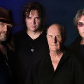 Nektar - List pictures