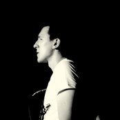 Rotten Bark - List pictures