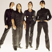 Elefant - List pictures