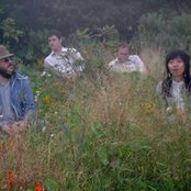 The Skygreen Leopards - List pictures