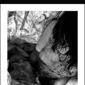 Vena - List pictures