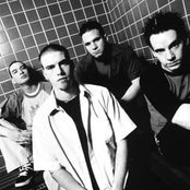 Taproot - List pictures