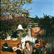 Pond - List pictures